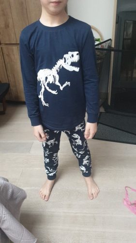 Kids Boys Dinosaur Pajamas Sets Toddler Pyjamas Children Clothes Long Sleeve Sleepwear Child Rex Cotton Pijamas photo review