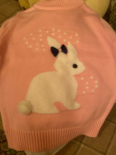 New Arrival girl Sweater Children Clothing rabbit Pattern Knitted Sweater Baby girls Pullover Sweater Knitwear 1-5T Kids photo review
