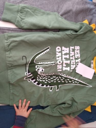 brand Spring Children's Clothing Printed Cartoon Animal Clothes 2-8y Baby Boys Dinosaur Sweatshirt Long Sleeved Clothes Tops photo review
