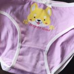 4 Pcs/Lot Children Panties Girls' Briefs Female Kids Underwear Baby Girl Cotton Sweet Design Panties Children Clothing photo review